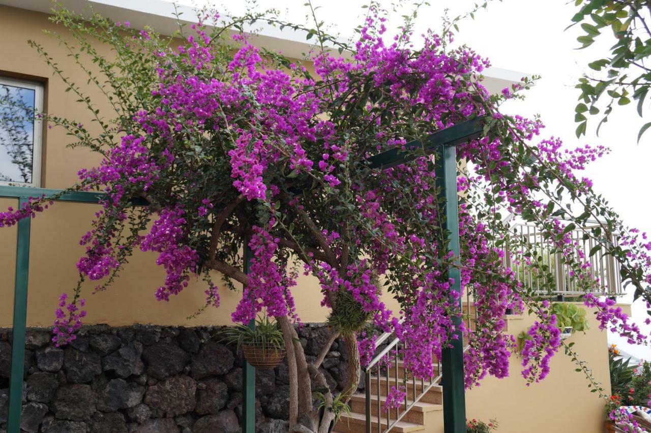 Vila Casa Aloe El Paso Exteriér fotografie